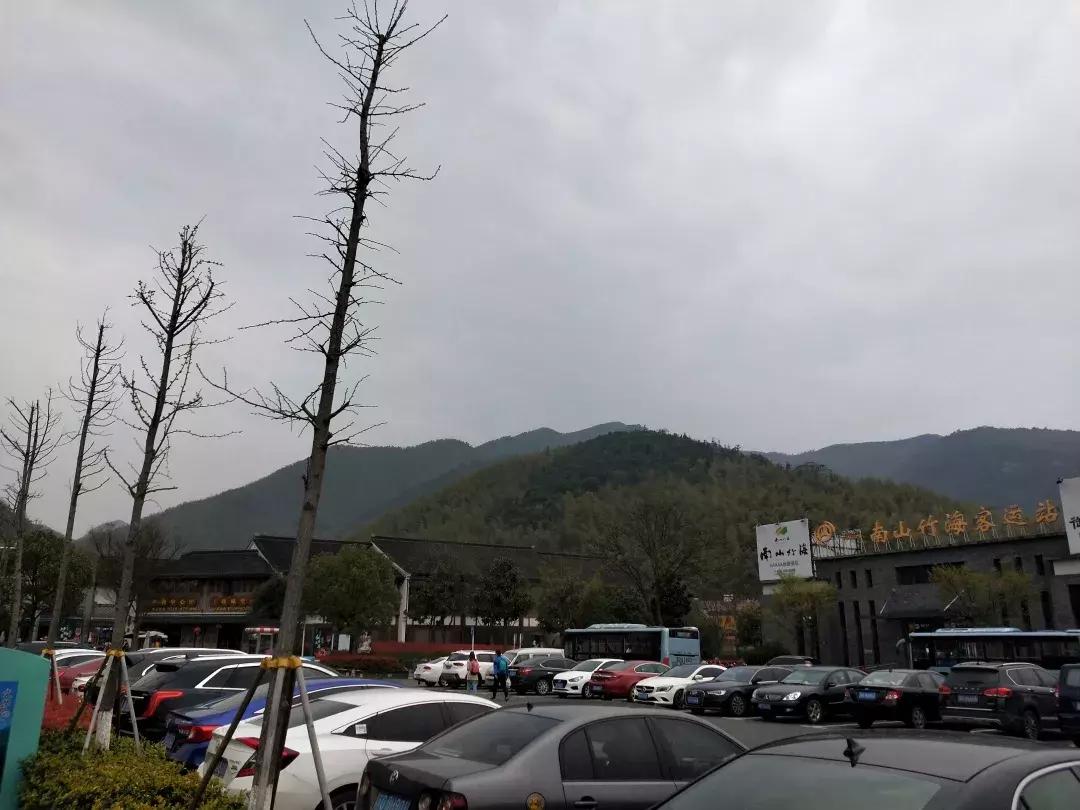 口子窖年度股东会调研，本地市场仍有潜力，未考虑跨区域并购