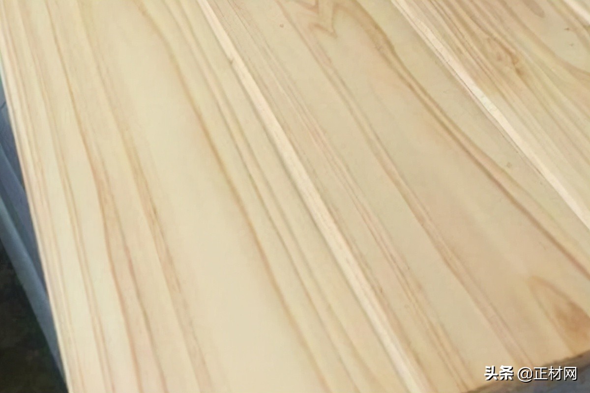 杉木的优缺点是什么,柳杉木是什么样的