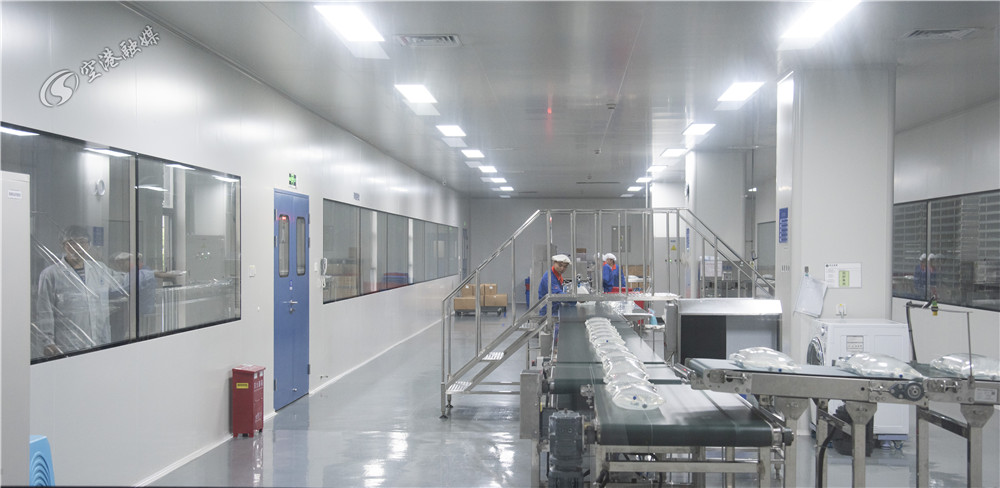 向更高质量发展迈进,向绿色转型要出路