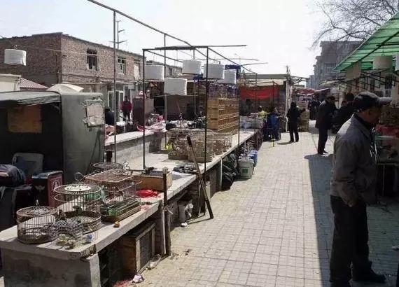 一宫鸟市、一宫邮市、康好娱乐城…老天津人为嘛爱往一宫跑？