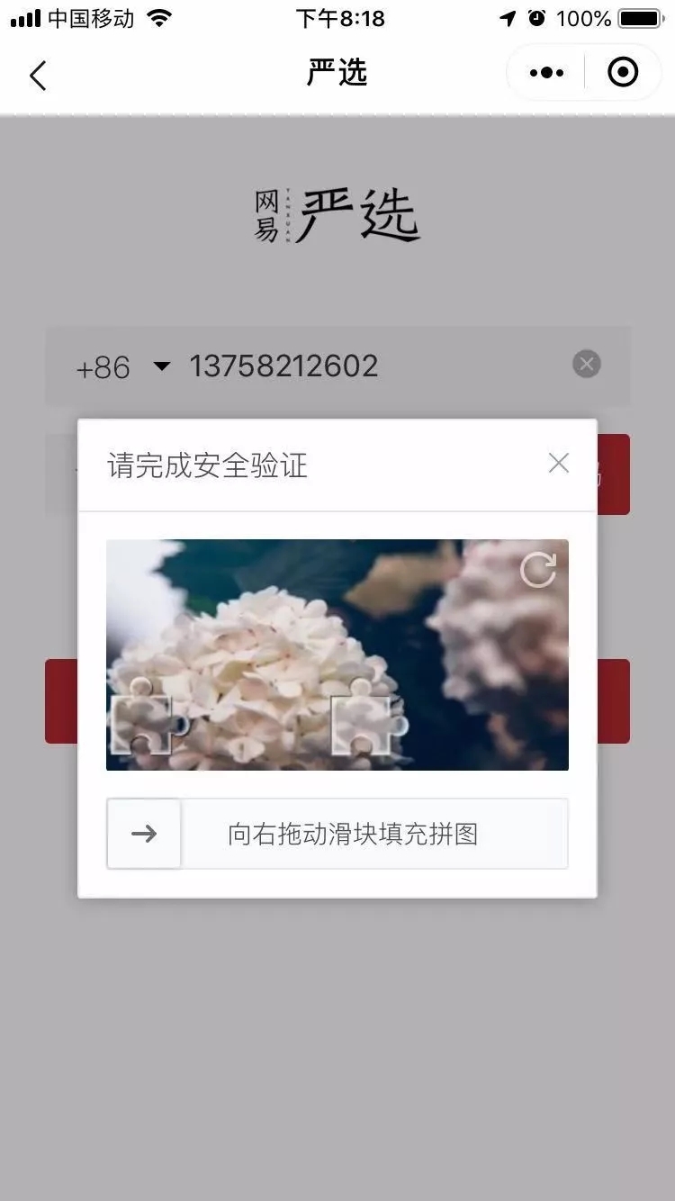 网易易盾怎么获取免费验证码,网易易盾验证码教程是什么