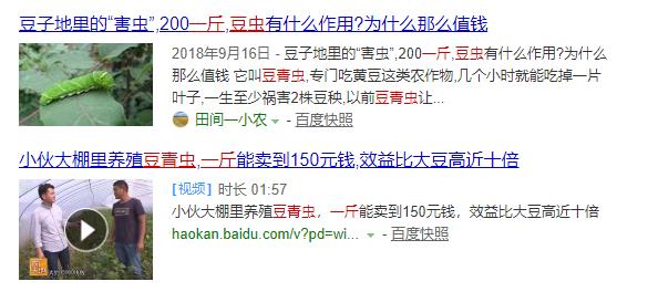 富川这种虫子卖出天价，炒到400元/斤，你敢吃吗？