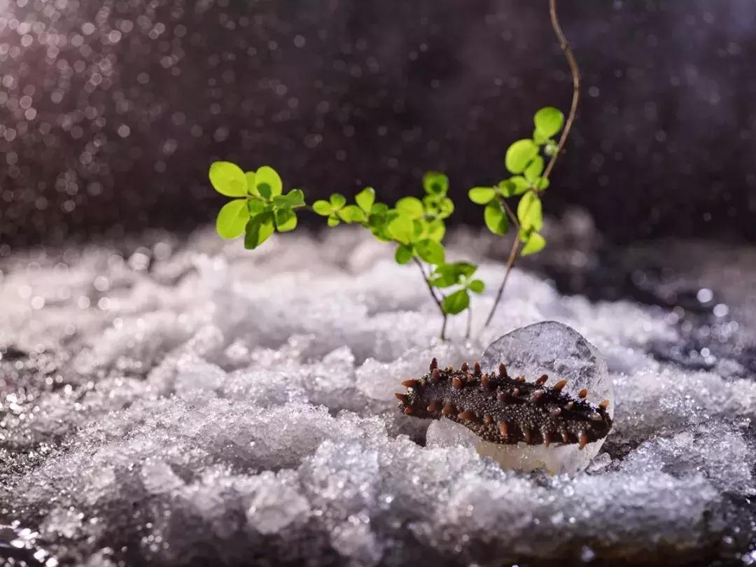 閲嶅簡鏂版檵缃戠孩鎵撳崱鐨囧啝,閲嶅簡鏂版檵缃戠孩鍦版柟