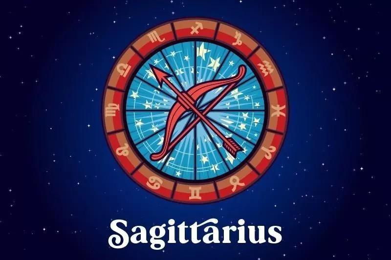 十二星座运势野兽,如何知道自己星座最适合的动物