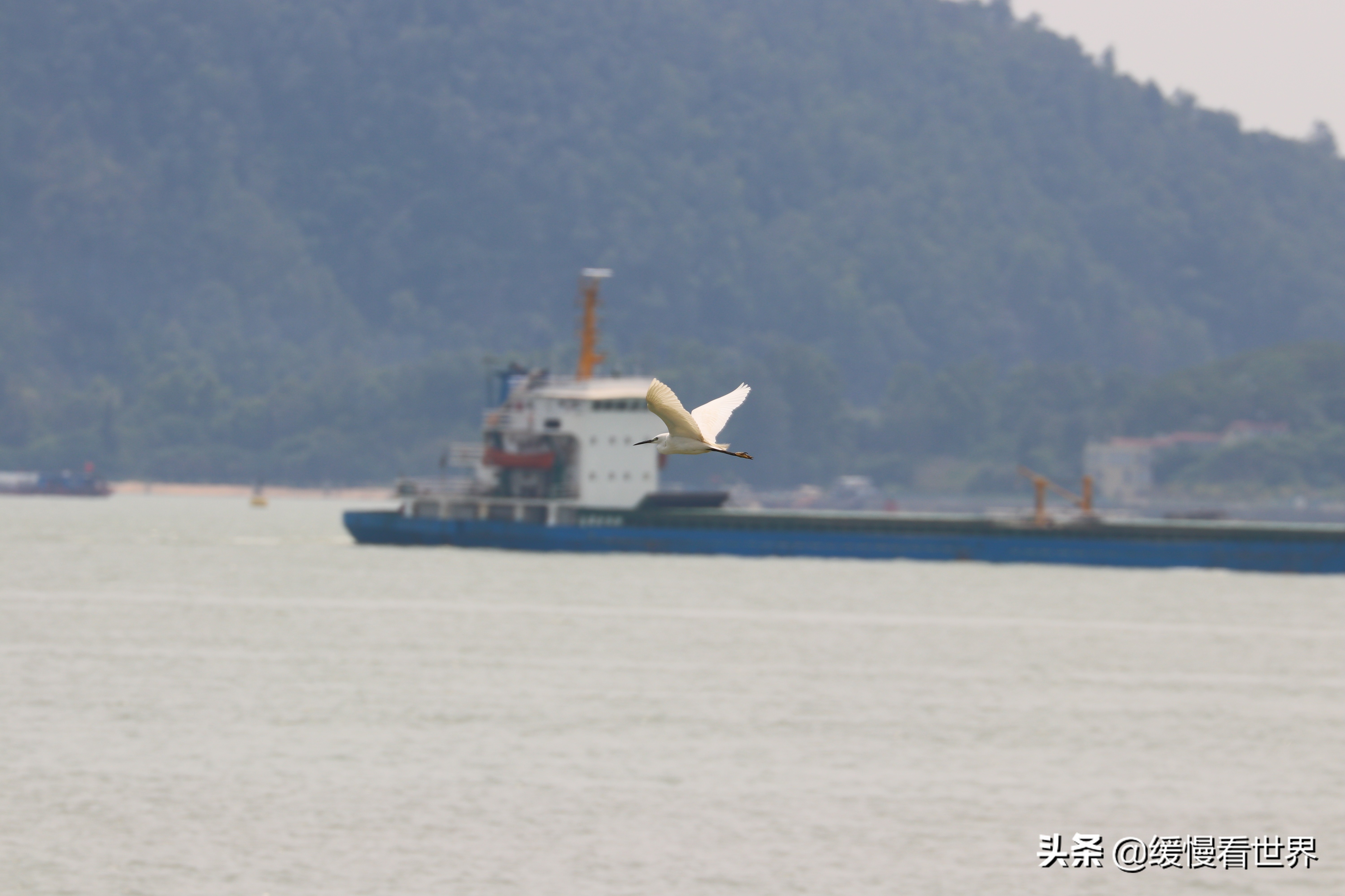 虎门威远炮台海战博物馆,虎门海战博物馆离威远炮台远吗