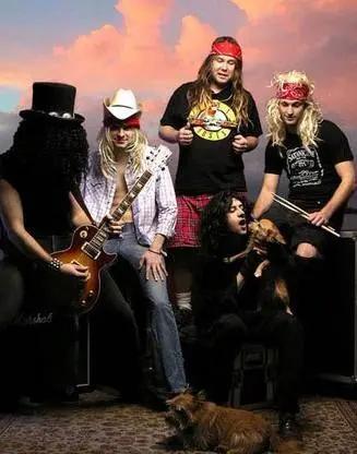 枪炮与玫瑰乐队的起始，风光，与醉生梦死