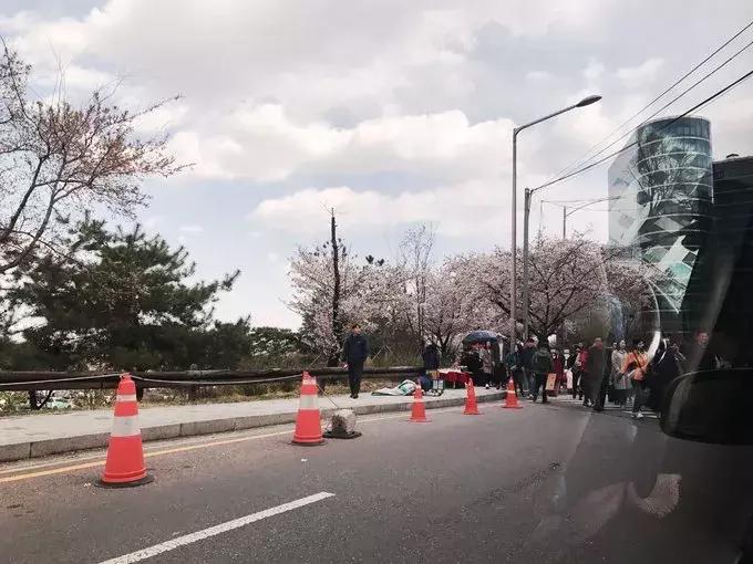 游记｜韩国好像没什么，但女孩子玩起来就是好爽