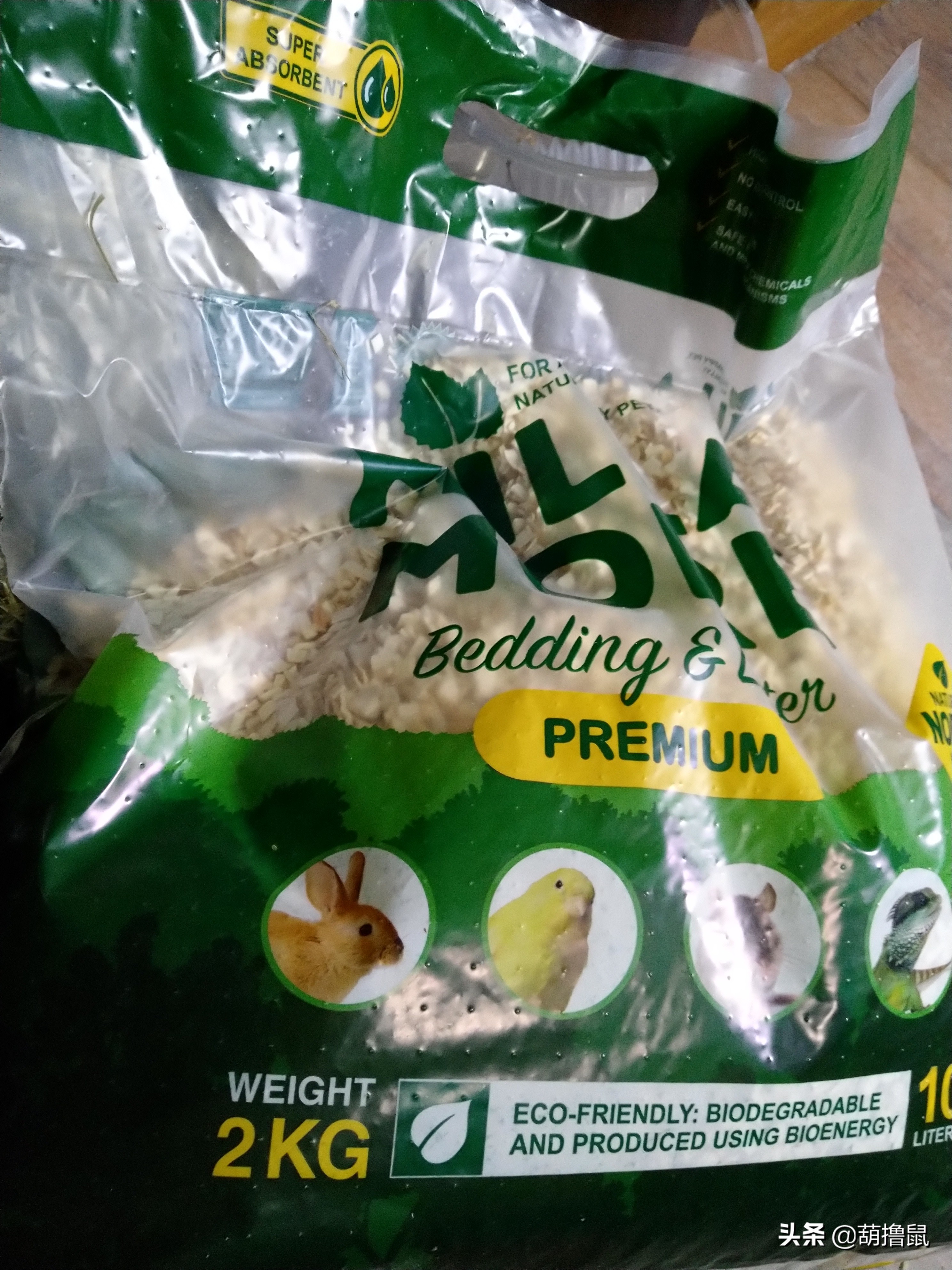 仓鼠怀孕后的注意事项,仓鼠生育注意什么事项图片