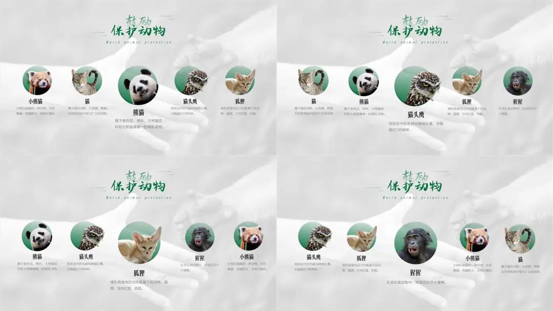 ppt排版设计技巧ppt制作培训教程,ppt优秀的图文排版案例