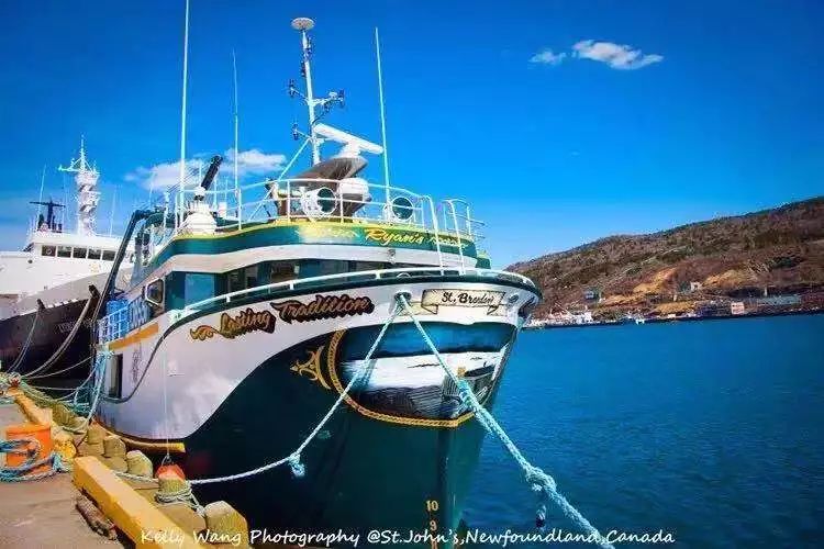 免走弯路，我要与你分享从零到有的超长版开花店经验！