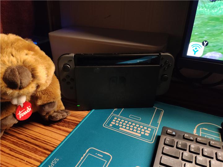 switch配件要不要买正品,switch入坑游戏