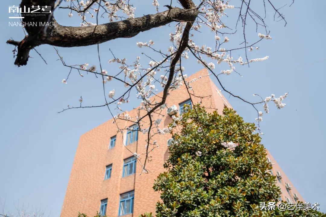 南山艺考画室怎么样收费,西安南山艺考画室官方账号