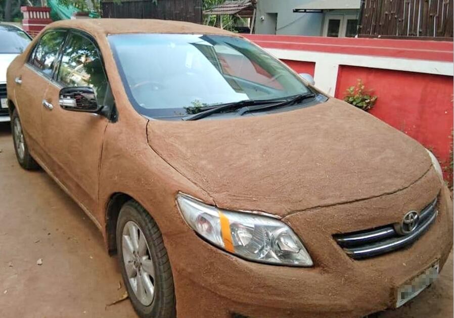 印度的牛粪饼多少钱一盒,印度的牛粪饼在中国也有卖吗