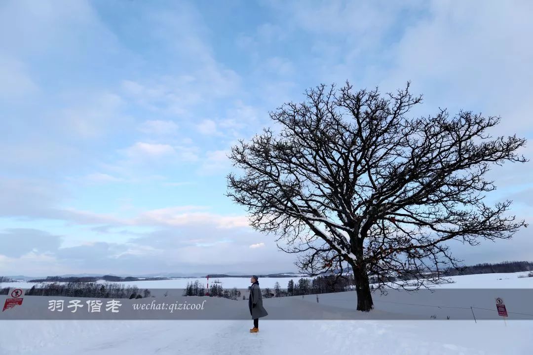 老实说,这一趟北海道就是为了拍好看的照片去的