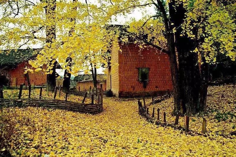 有个地方叫南雄,岭南一隅的南雄