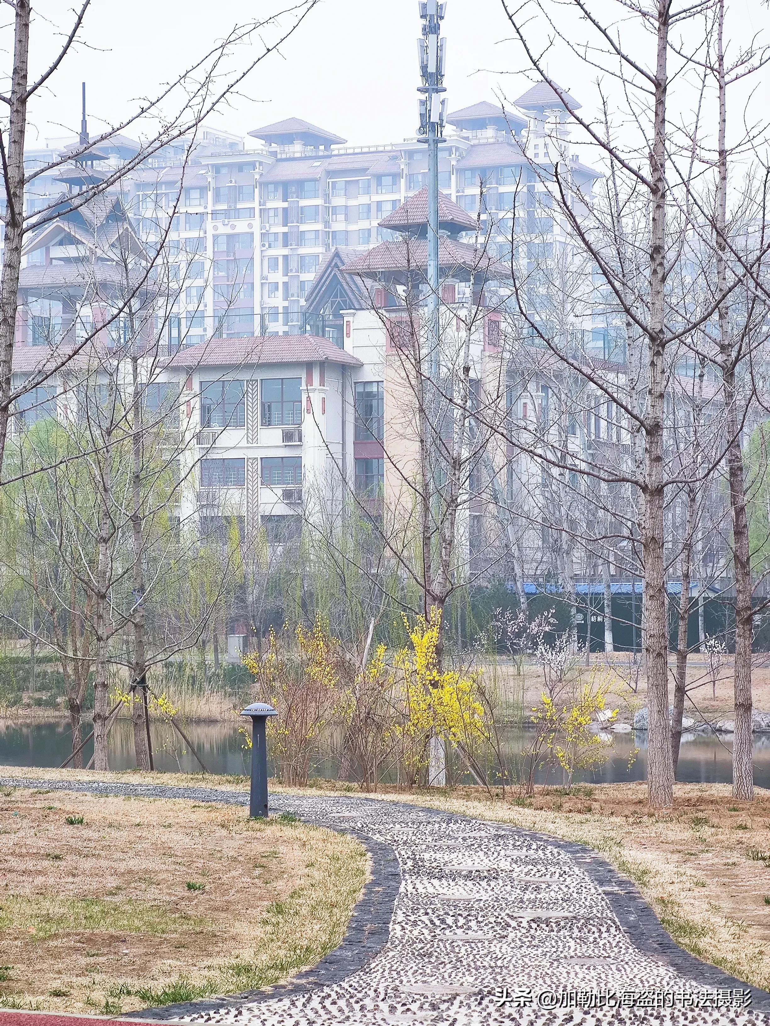 如何在公园里拍出氛围感照片,公园摄影怎么拍出高级感