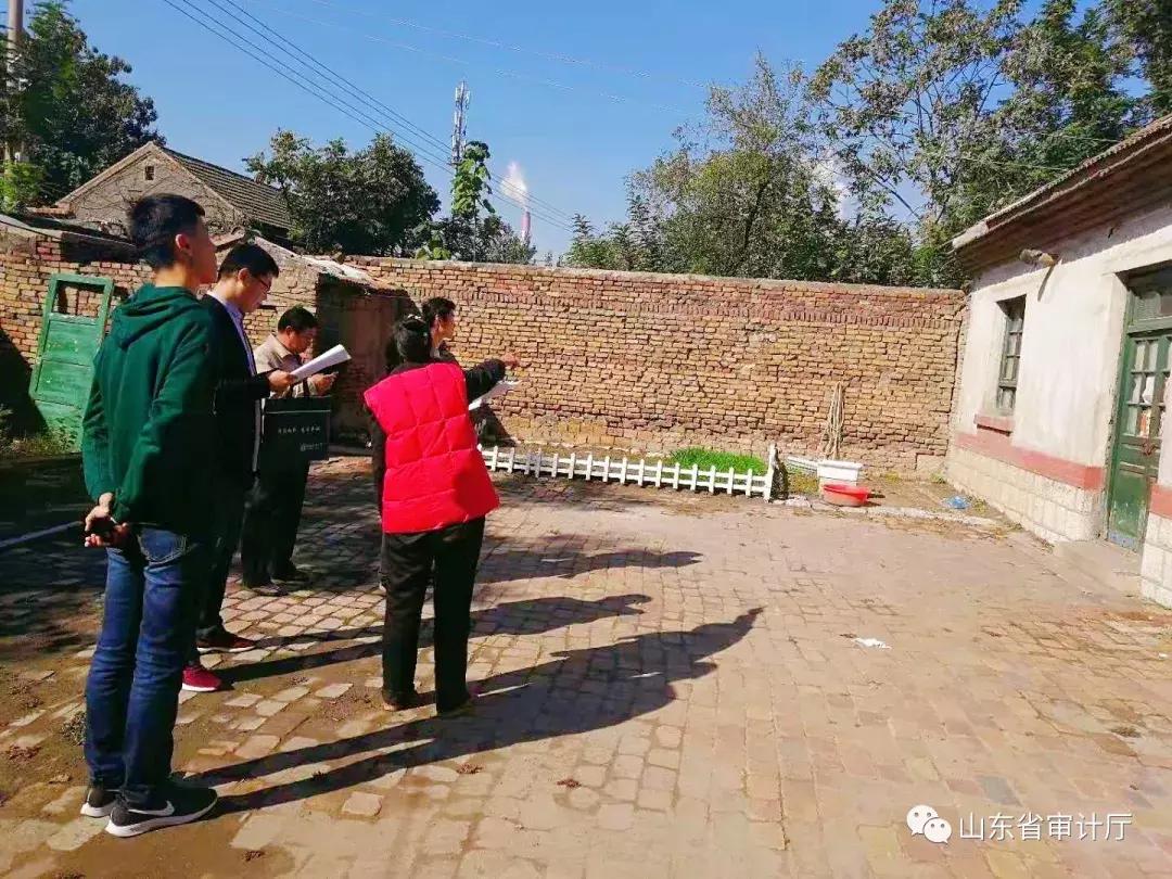 这一年收获颇丰,这一年收获了太多的温暖与感动