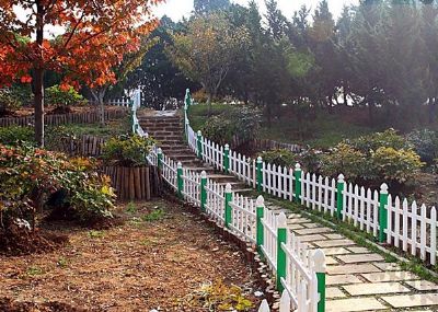 大连市生日免费游园,大连10大免费旅游景点一览表