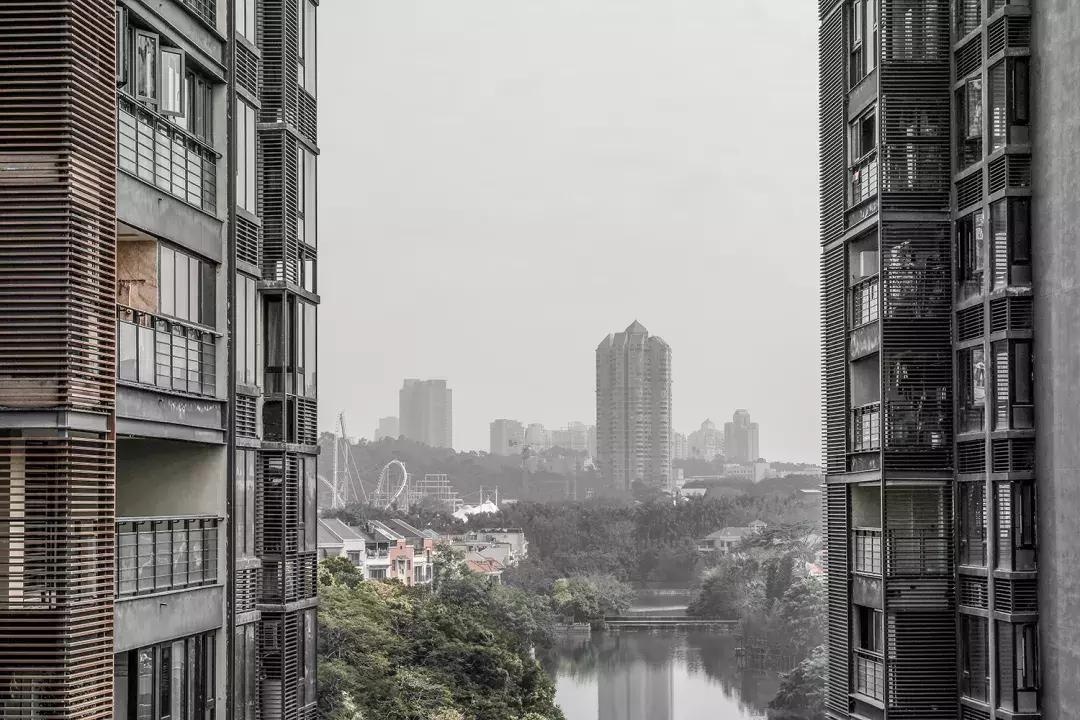 白石洲消失的原因,白石洲今日消息