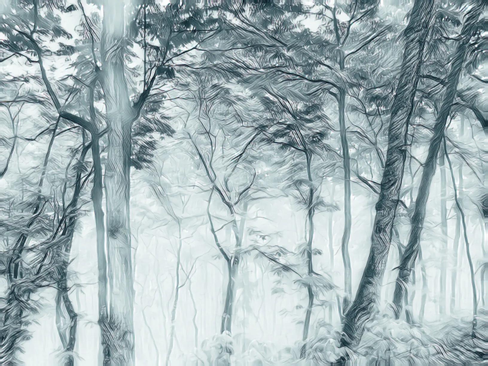 什么软件可以把照片生成手绘,怎么用软件把照片变成画