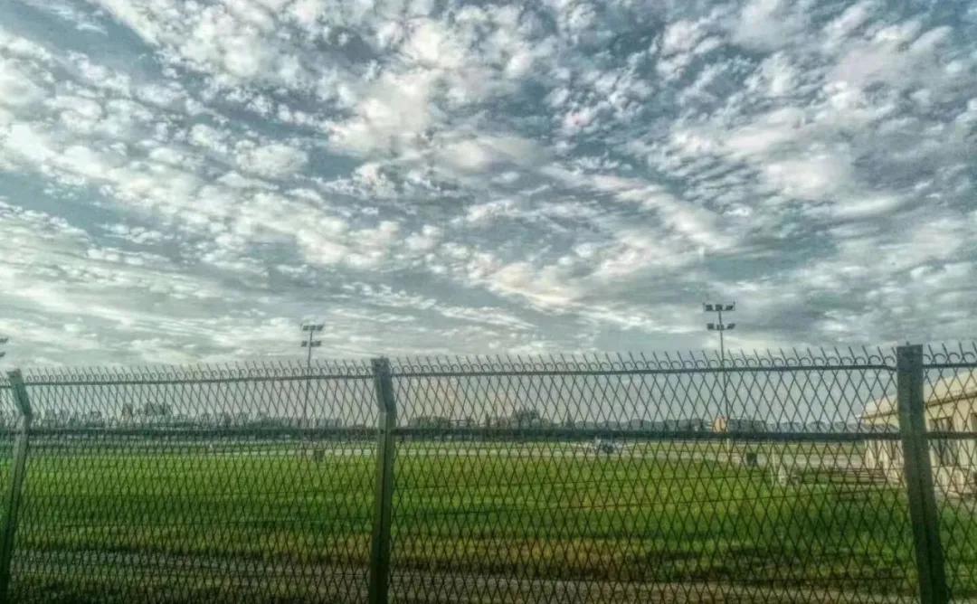 飞行季毕业流程,飞行季毕业还需要做任务吗