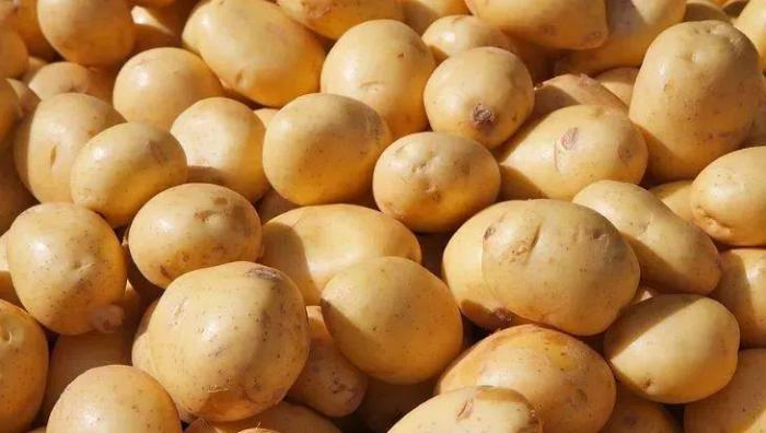 几种养在一起可以互相促进生长的蔬菜，还能很好地减少病虫害