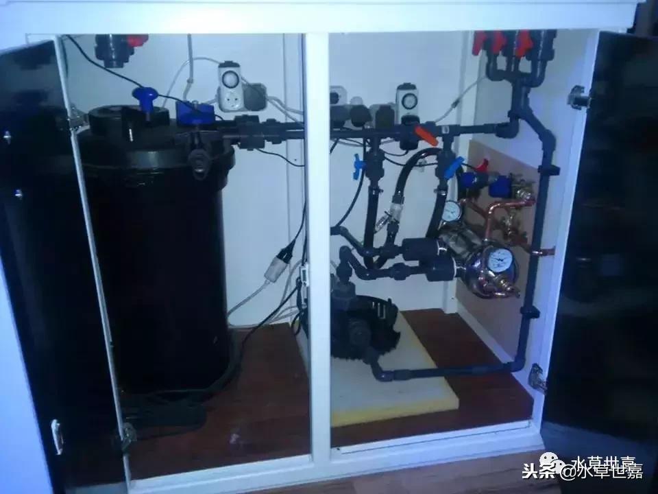 七彩神仙鱼水族箱布景,七彩神仙鱼苗繁殖技术