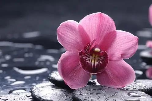 愿一切美好都不期而遇早安图片,早安总有不期而遇的意外惊喜