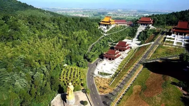 南京这些免费公园，让你任性玩个遍