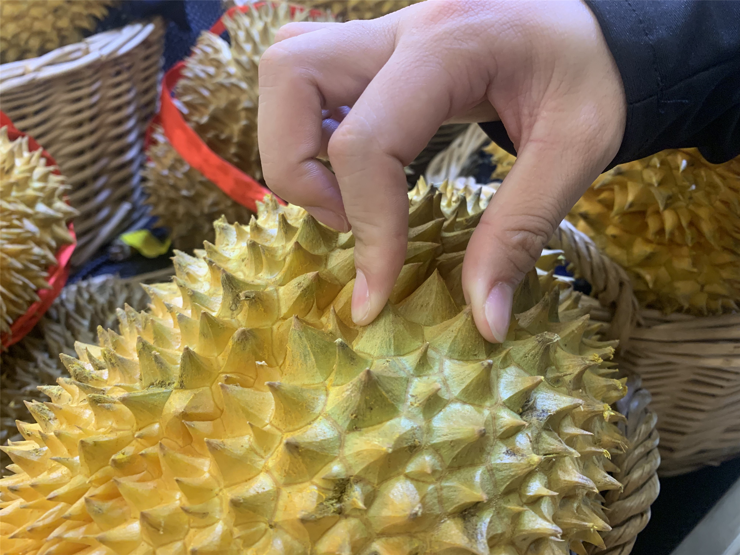 买榴莲的三个挑选方法,水果店老板告诉你榴莲怎么挑选