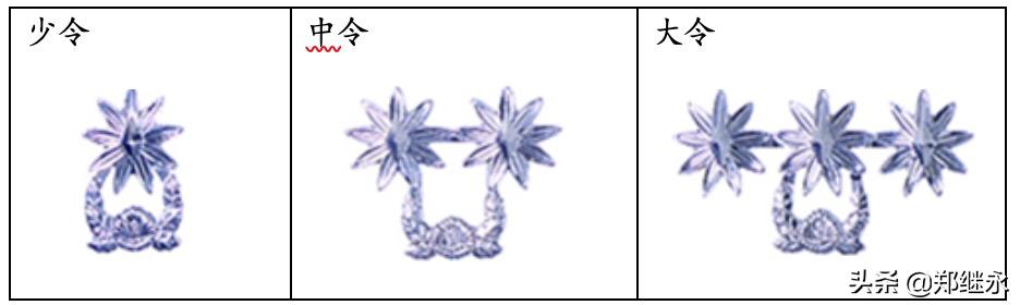 韩国陆军服役服,韩国陆军师标志