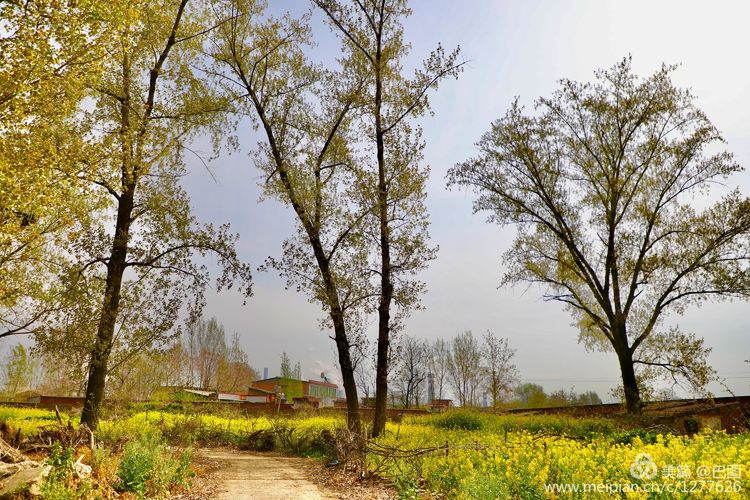 曾经的新安小香港,今日物是人非,探访洛阳水泥厂工人村