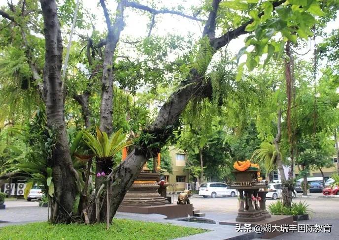 激情点燃梦想，艺术照亮人生——格乐大学艺术系欢迎你