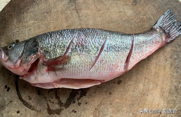 买鲈鱼的正确方法视频,如何挑选鲜活鲈鱼