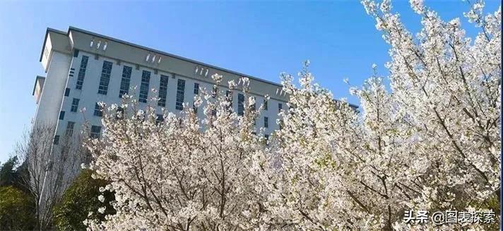 河南师范大学筹建卫辉校区，为何向县城发展？原因耐人寻味！