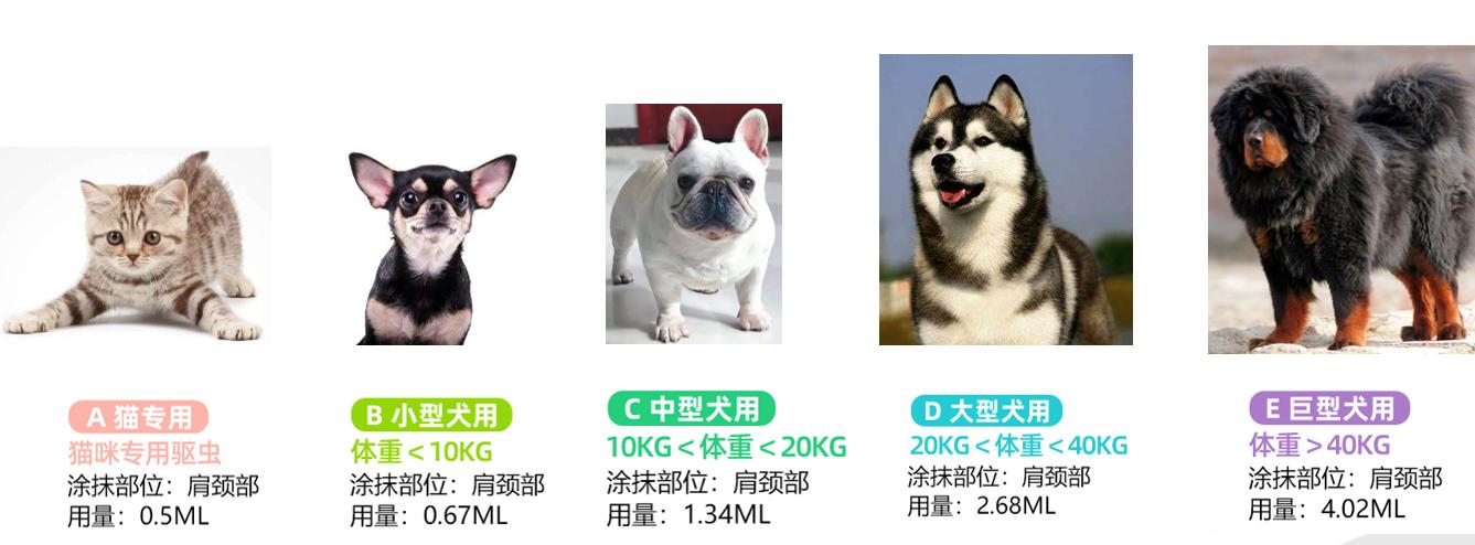 先洗澡还是先驱虫？为什么用了驱虫药还被虫咬？宠物医师给你答案