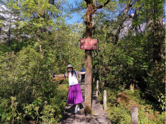 海螺沟燕子沟四日游,海螺沟燕子沟风景区