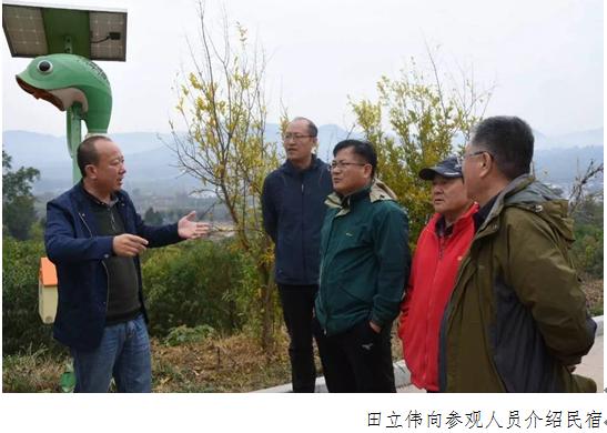 东里冉冉升起的朝阳