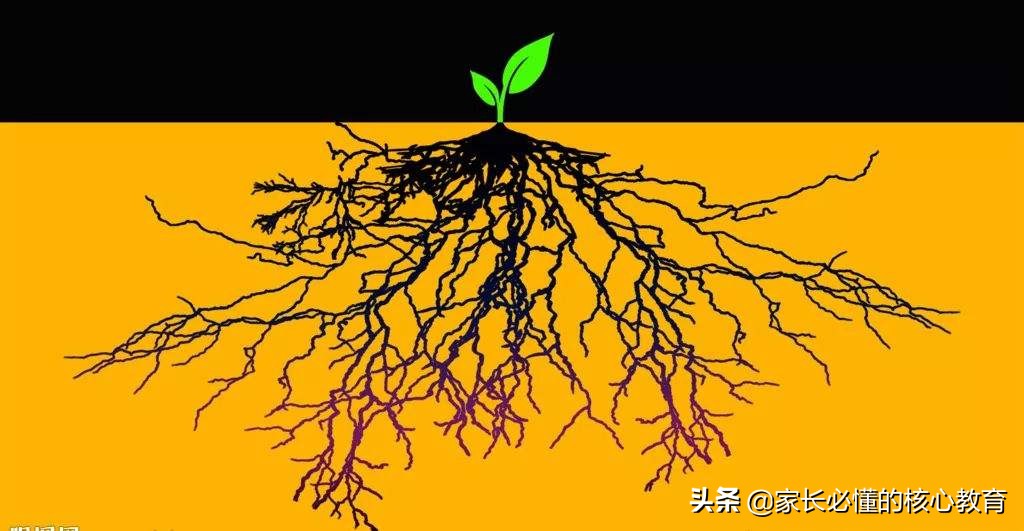 努力让孩子不再平庸,让孩子努力变得更优秀