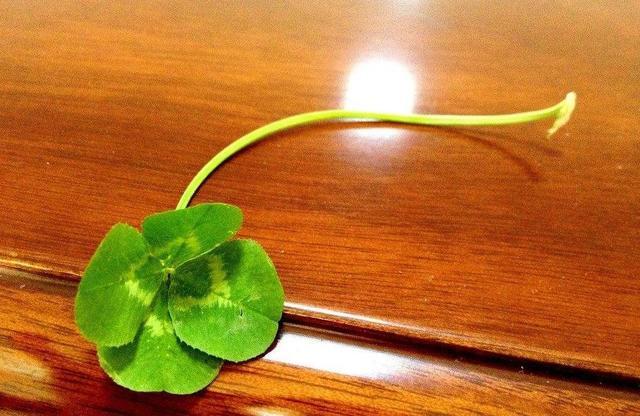 为什么在遇事第一时间都会认怂,人该认怂的时间就得认怂