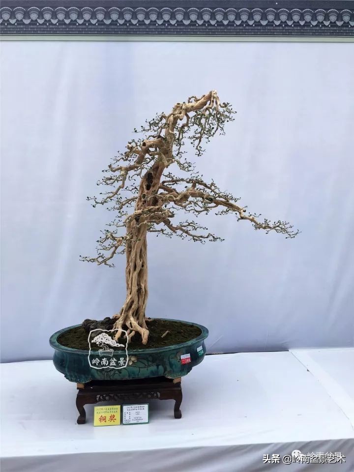 骞哥涔呬箙鐢滅敎铚滆湝,骞哥涔呬箙