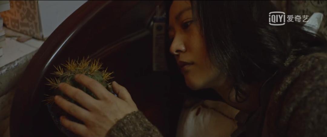 郝蕾演技全集,郝蕾演技爆发