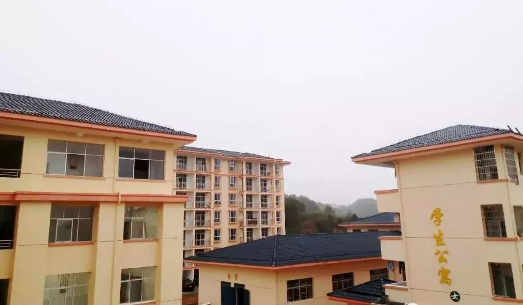 非物质文化遗产南庙武术,中国武术之乡十大排名