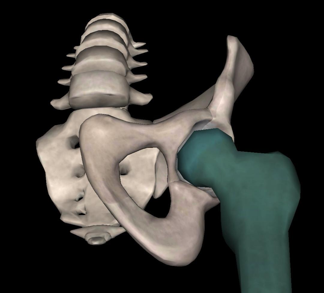 深蹲时臀部眨眼是什么样子的,深蹲时出现骨盆眨眼该怎么办