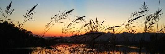 如何成为一名合格的投资者,如何做一名合格的投资者雪球