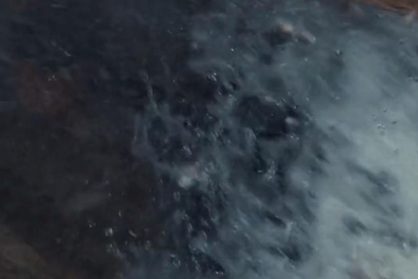 又渴又疼！手臂被石头卡住五天五夜？这部电影告诉你如何断臂求生