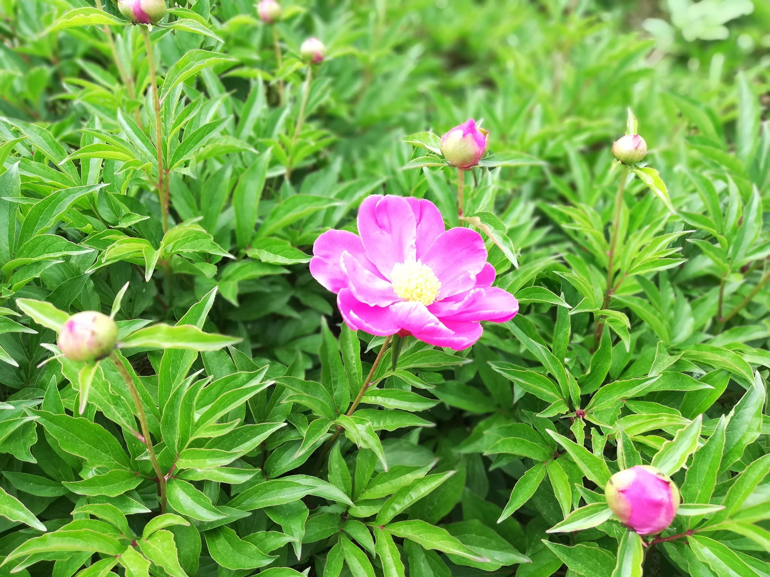 美女稽查官,夜闯“迷你”酒吧,与老板私下做生意