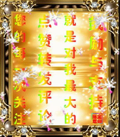 情感语录最美100句,美到骨子里的情感语录