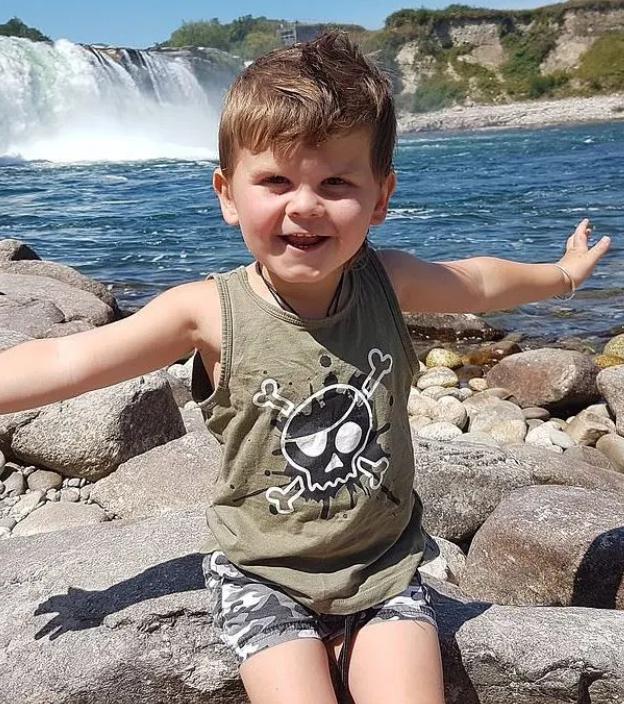 2岁男童被恶犬袭击怎么样了,孩子被恶犬袭击却将恶犬杀了