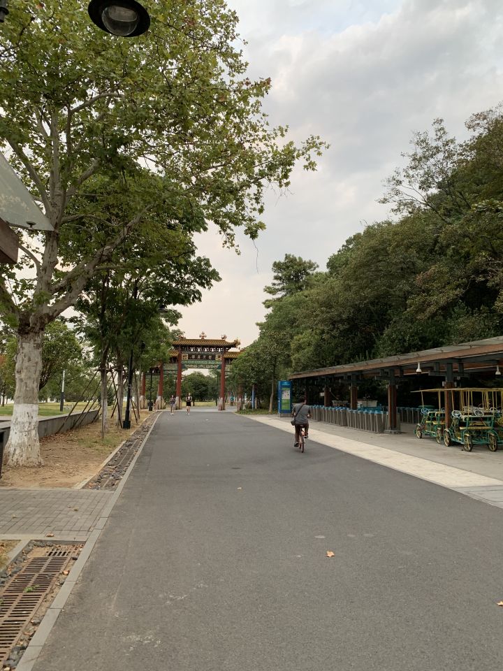 森林人单筒手机望远镜测试,iphonexr手机望远镜